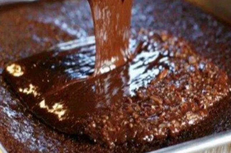 Cozy warm chocolate sheet cake topped with chocolate frosting