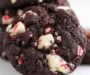 Double Chocolate Peppermint Christmas Cookies Recipe | Double Dark Chocolate Peppermint Cookies, Chewy Double Chocolate Peppermint Cookies, Double Chocolate Peppermint Cookies Recipe
